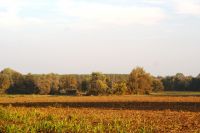 Parco Fiume Oglio