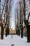 Paesaggio Invernale